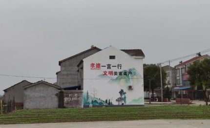 田林新农村墙绘